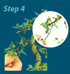 bonsai wire explained