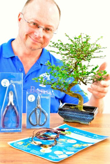 https://www.bonsaidirect.co.uk/wp-content/uploads/2016/09/standard-twisty-bonsai-kit-pruning-wiring-380x568.jpg