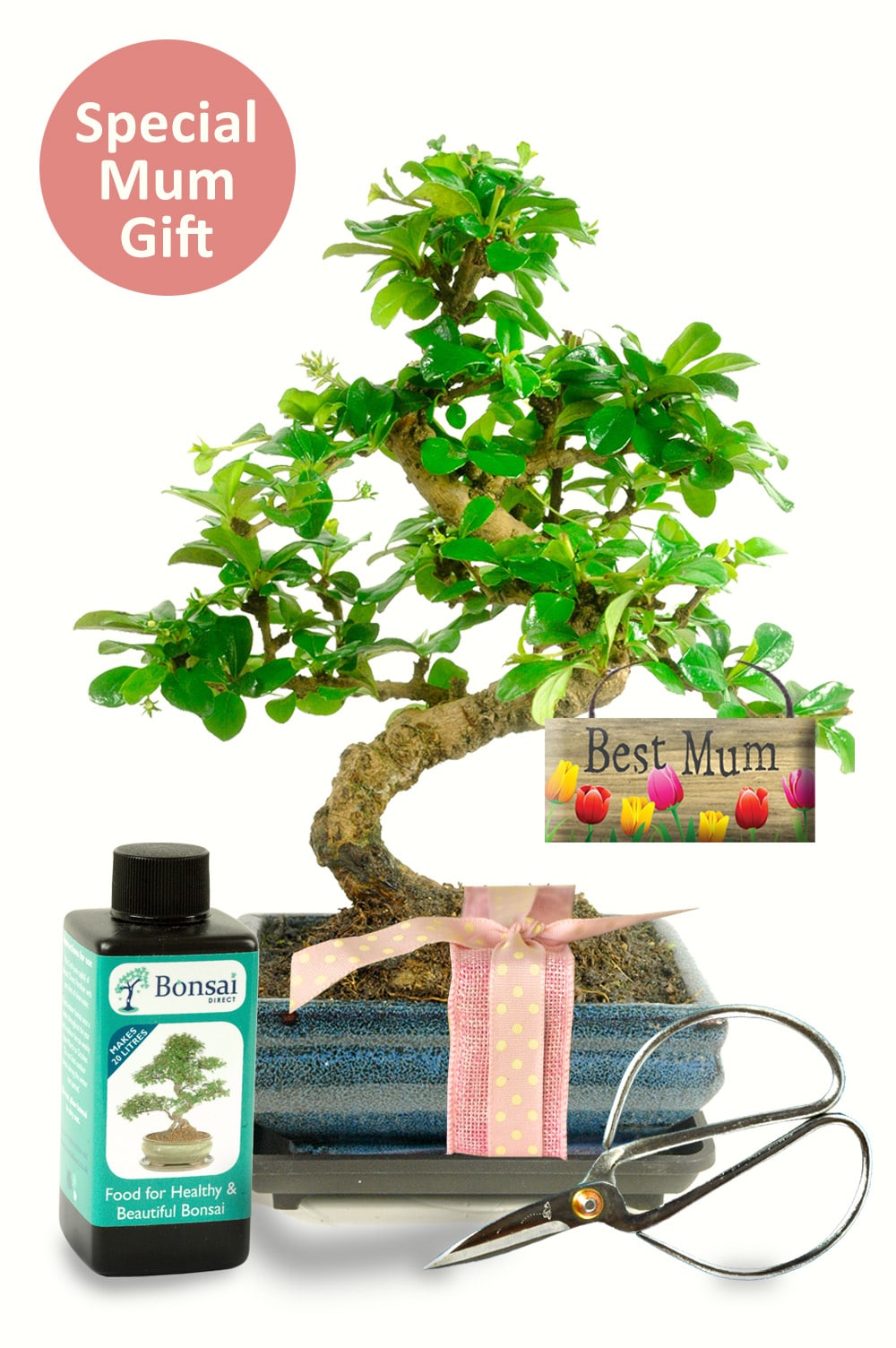 Lifelike Artificial Bonsai Plant Perfect For Home, Office, And Festivals  Flower Tree Decorations Festival Theme DIY Gift Accessory From Lubufang,  $44.86 | DHgate.Com