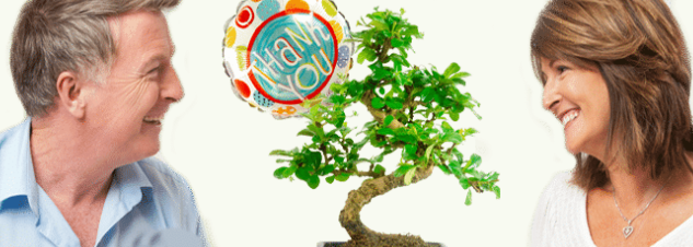Thank you bonsai tree gifts