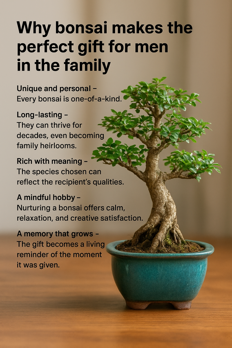 Why bonsai makes the perfect gift for men in the family