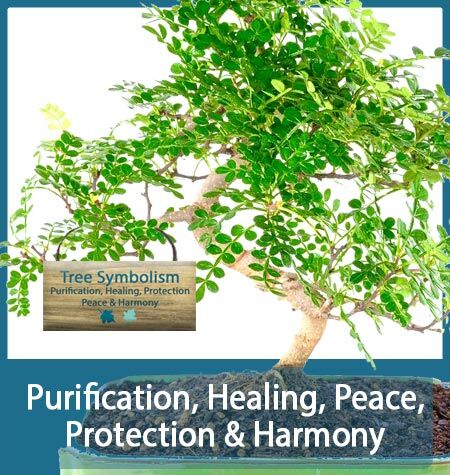TREE SYMBOLISM
Purification, Healing, Protection
Peace & Harmony