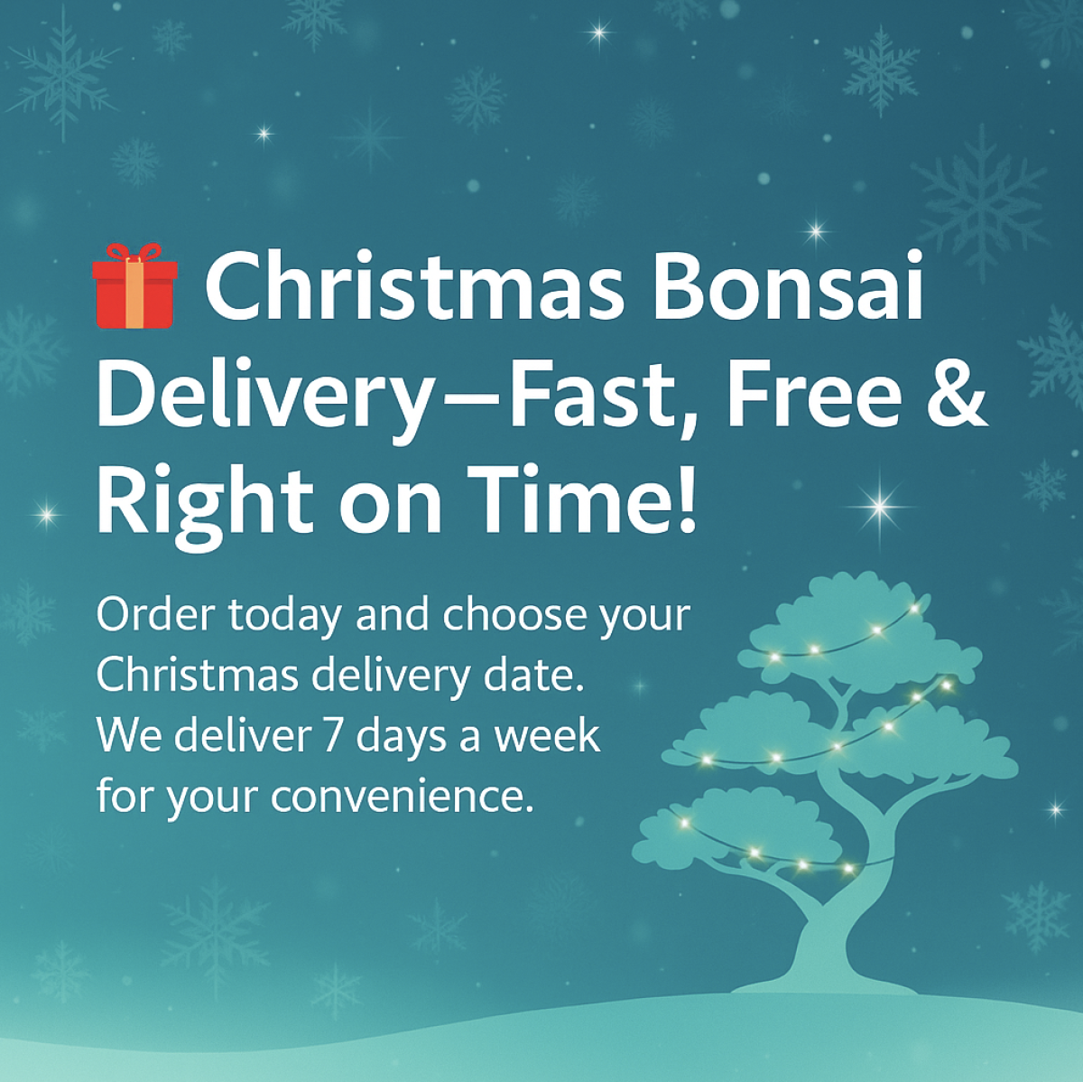 Christmas Bonsai Tree Delivery from the experts | Fast, efficient on the date you choose.