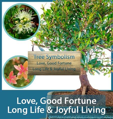 TREE SYMBOLISM
Love, Good Fortune, Long Life & Joyful Living