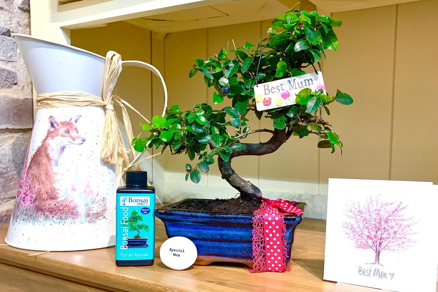 Mother's Day gifts - Beautiful bonsai trees