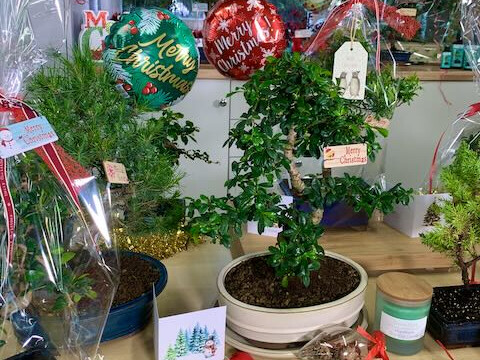 Christmas gifts for the whole family!