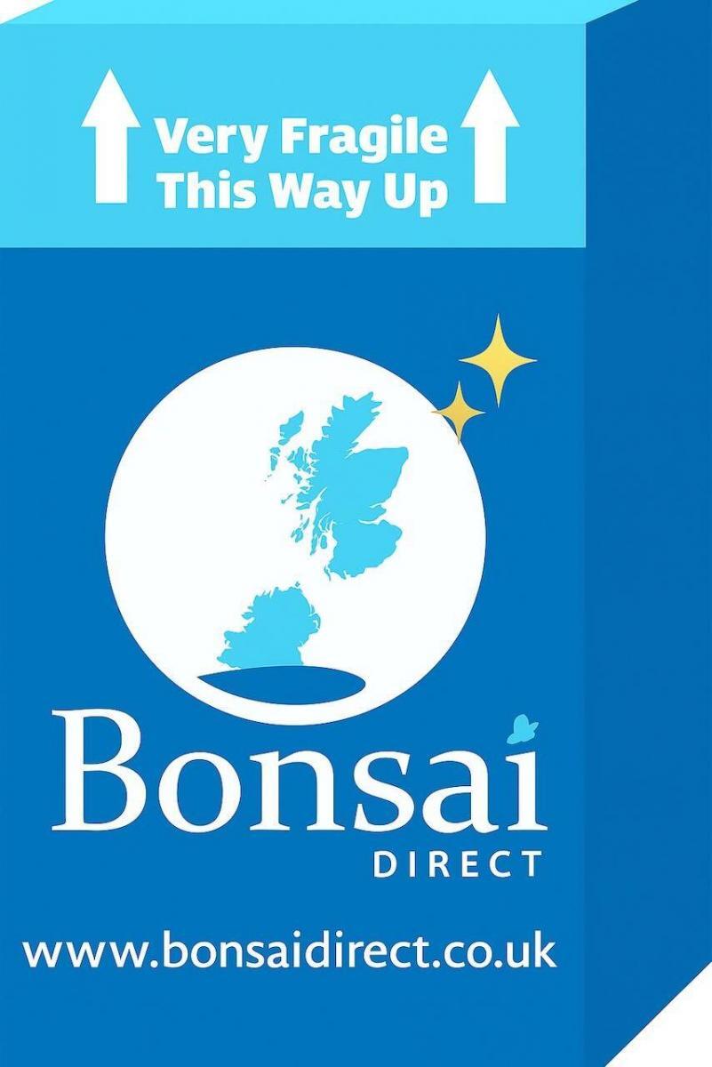 Most of our bonsai (minus some smaller bonsai and orders containing only dry goods) are delivered in bespoke packaging.